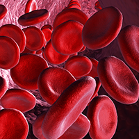Cevidoplenib Elicits Platelet Responses in Thrombocytopenia | Image Credit: © yodiyim - stock.adobe.com