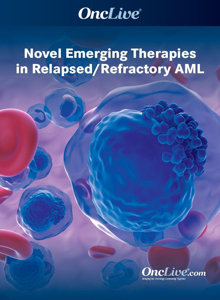 Novel Emerging Therapies in Relapsed/Refractory AML