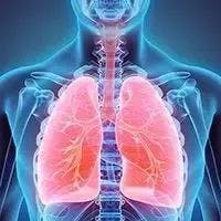 non–small cell lung cancer |  Image Credit: © yodiyim - stock.adobe.com