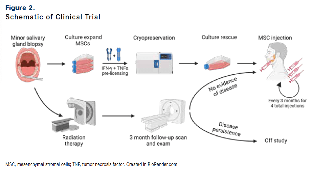 Figure 2. Schematic of Clinical Trial