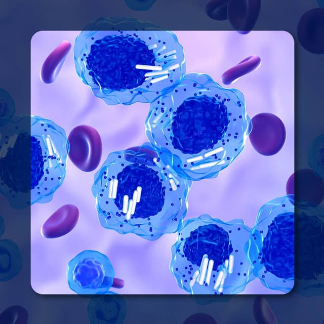 Revumenib in NPM1+ R/R AML | Image Credit: © LASZLO– stock.adobe.com